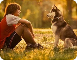 معرفی کانال های جدید دوزبانگی